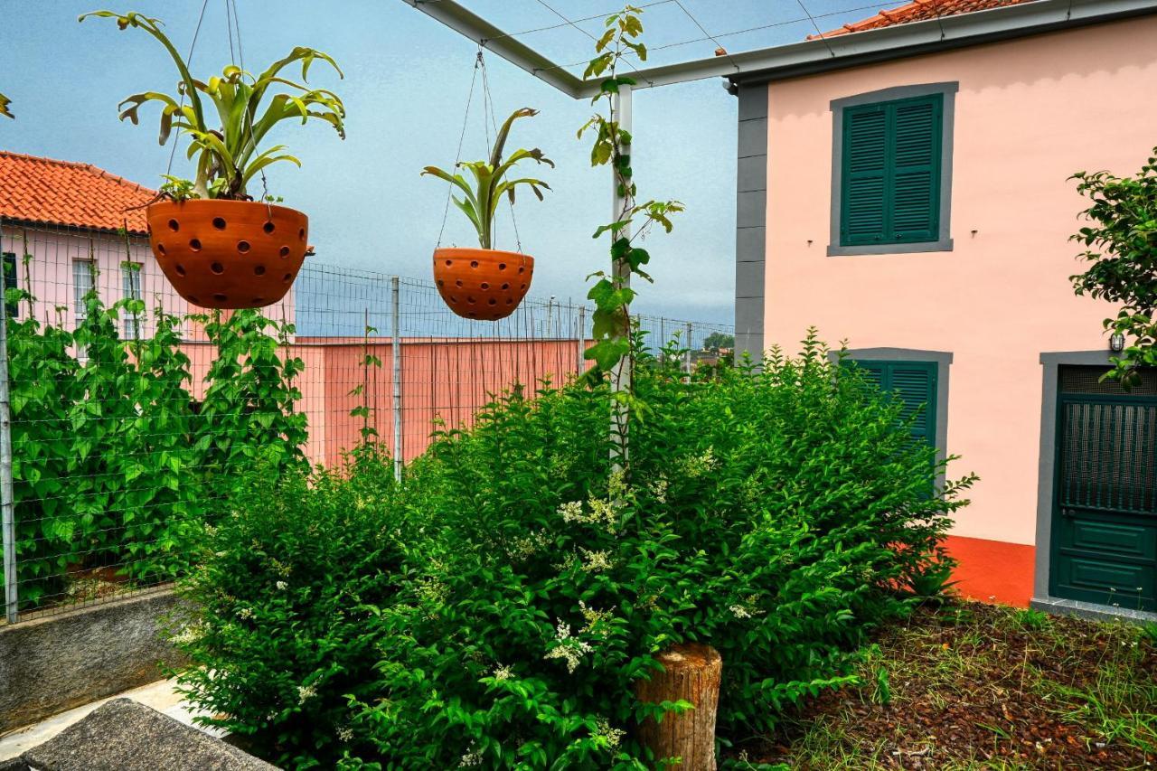 Os Ferreirinhos, A Home In Madeira São Jorge Eksteriør bilde