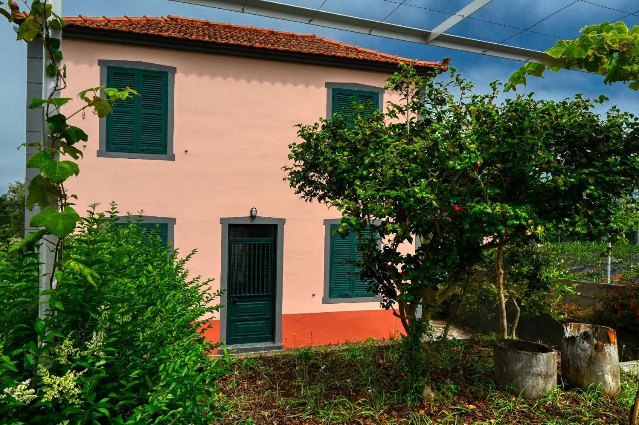 Os Ferreirinhos, A Home In Madeira São Jorge Eksteriør bilde