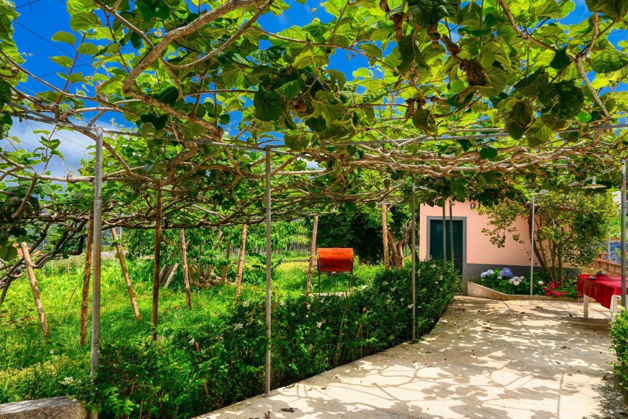 Os Ferreirinhos, A Home In Madeira São Jorge Eksteriør bilde