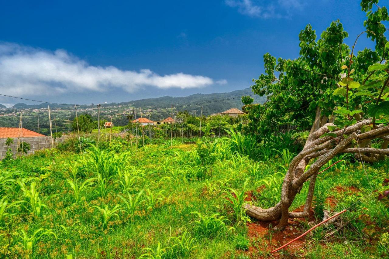 Os Ferreirinhos, A Home In Madeira São Jorge Eksteriør bilde